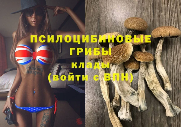 каннабис Баксан