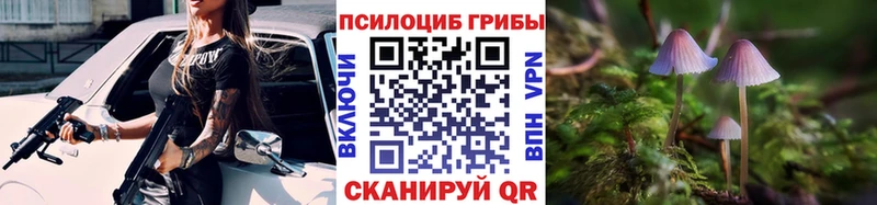 Галлюциногенные грибы Psilocybe Белинский